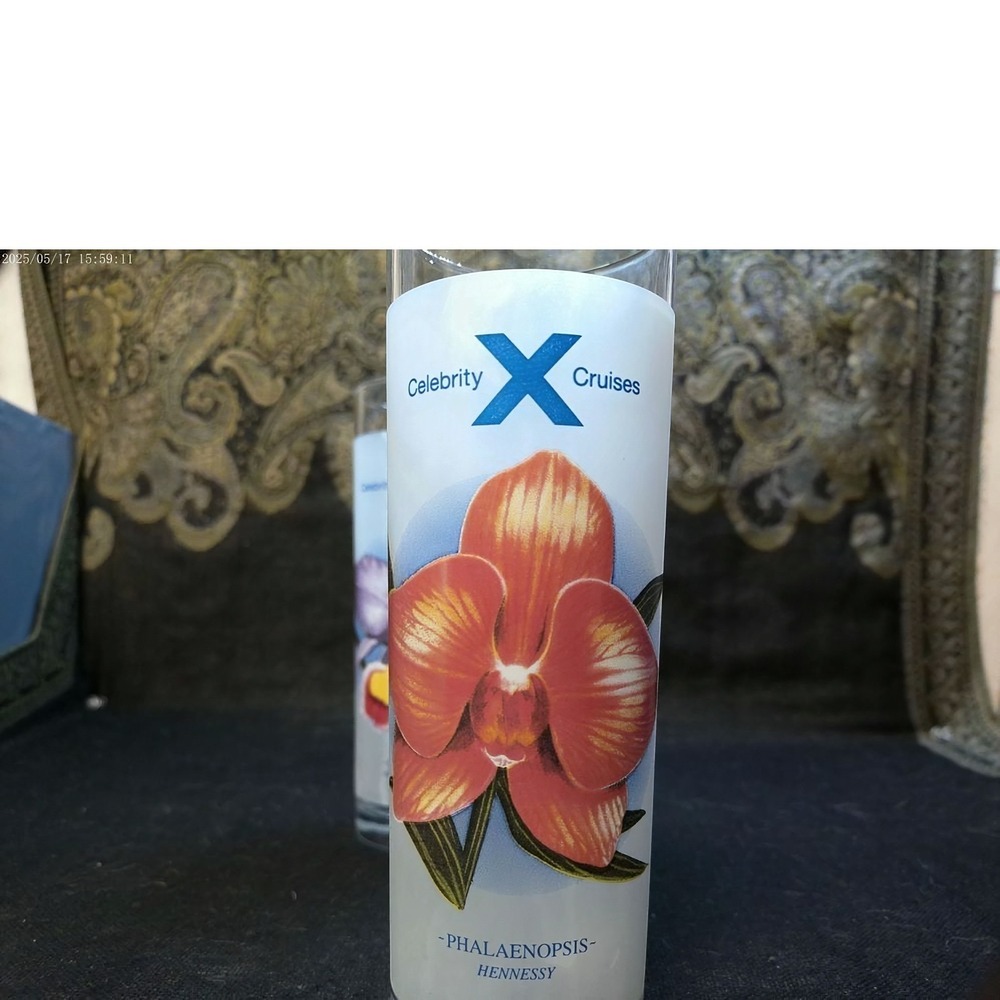 Frosted Cocktail Glasses‎ Celebrity Cruises Vintage Orchid Set Of 2 Glassware - Picture 8 of 11